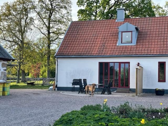 Apartament Ormanasgarden Höör Zewnętrze zdjęcie